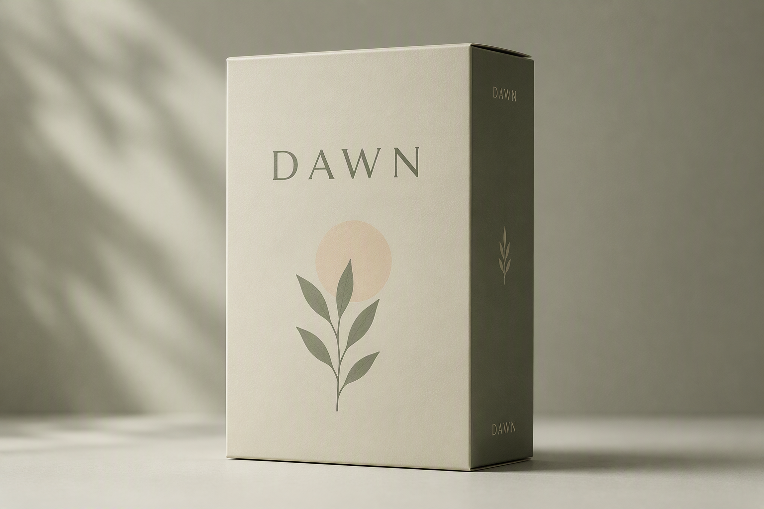 Box packaging mockup